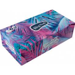 Big Soft Deluxe 2vrstvé papírové kapesníky, 200 ks